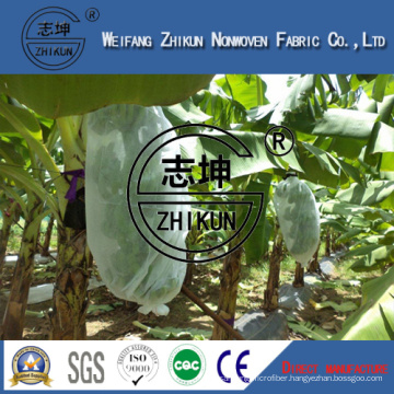 PP Nonwoven Fabric for Fruit Cover with High Quality